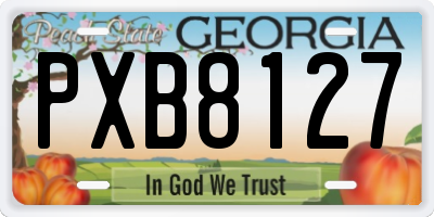 GA license plate PXB8127