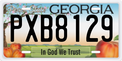 GA license plate PXB8129