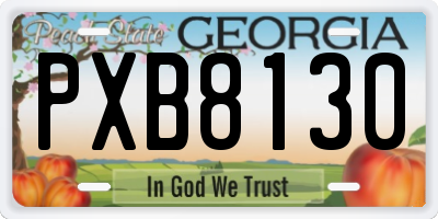 GA license plate PXB8130