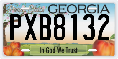 GA license plate PXB8132