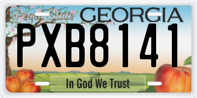GA license plate PXB8141