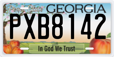 GA license plate PXB8142