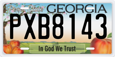 GA license plate PXB8143