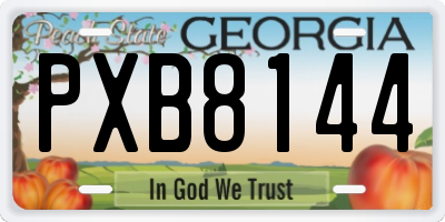 GA license plate PXB8144