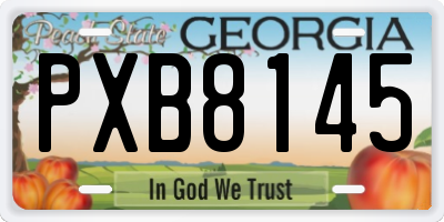 GA license plate PXB8145