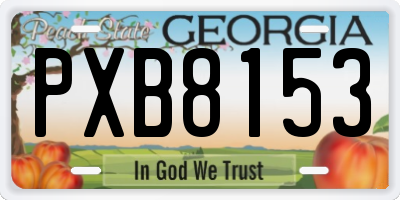 GA license plate PXB8153
