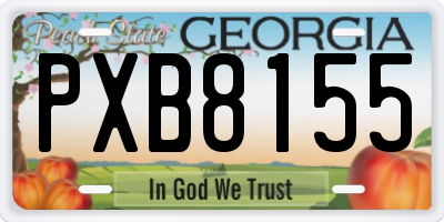 GA license plate PXB8155