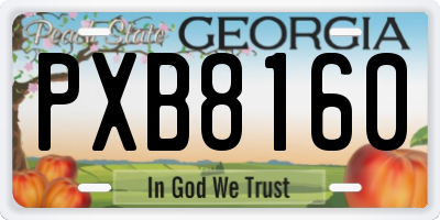 GA license plate PXB8160