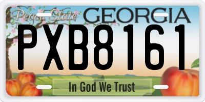 GA license plate PXB8161