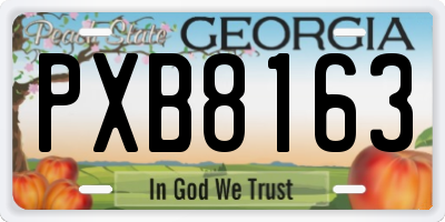 GA license plate PXB8163