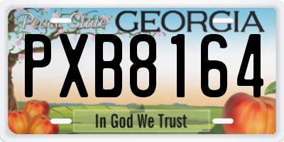 GA license plate PXB8164
