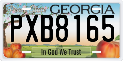GA license plate PXB8165