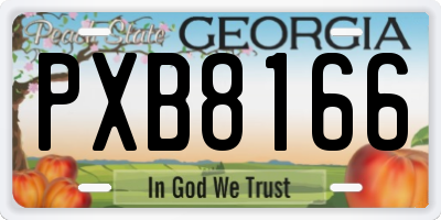 GA license plate PXB8166