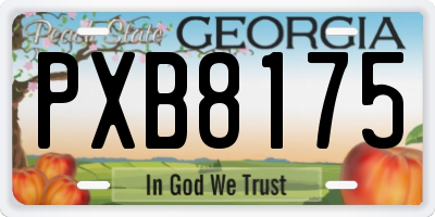 GA license plate PXB8175