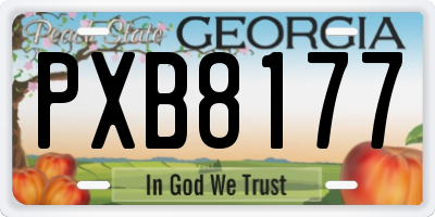 GA license plate PXB8177