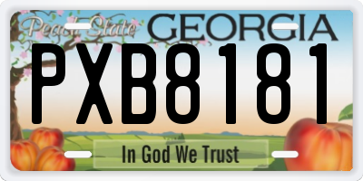 GA license plate PXB8181