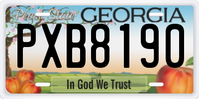 GA license plate PXB8190