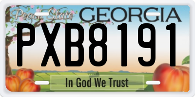 GA license plate PXB8191