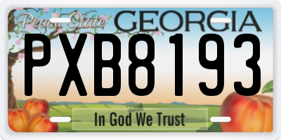 GA license plate PXB8193