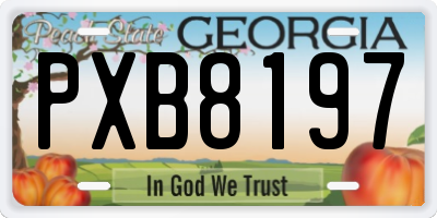 GA license plate PXB8197