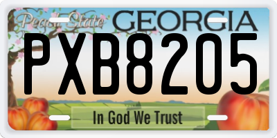 GA license plate PXB8205
