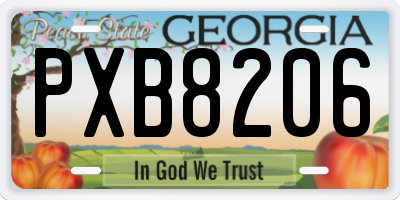 GA license plate PXB8206