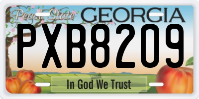 GA license plate PXB8209