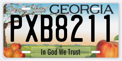 GA license plate PXB8211