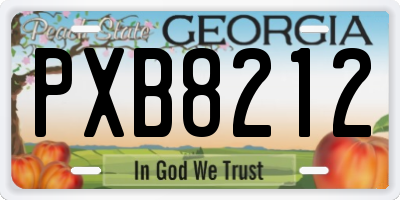 GA license plate PXB8212