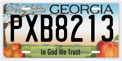 GA license plate PXB8213