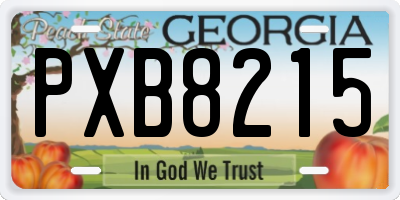 GA license plate PXB8215