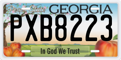 GA license plate PXB8223