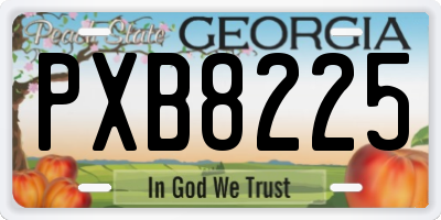 GA license plate PXB8225