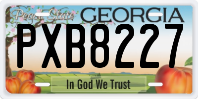 GA license plate PXB8227