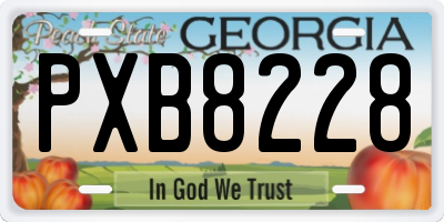 GA license plate PXB8228