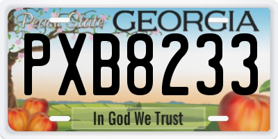 GA license plate PXB8233