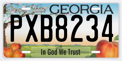 GA license plate PXB8234