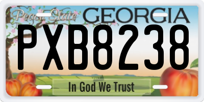 GA license plate PXB8238