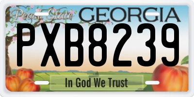 GA license plate PXB8239