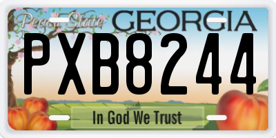 GA license plate PXB8244