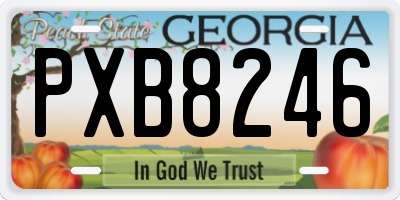 GA license plate PXB8246