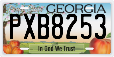 GA license plate PXB8253