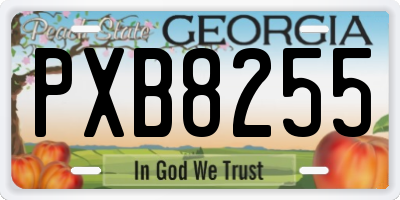 GA license plate PXB8255