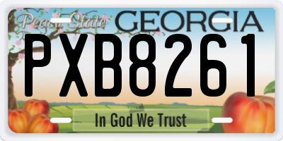GA license plate PXB8261