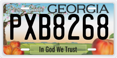 GA license plate PXB8268
