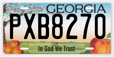 GA license plate PXB8270
