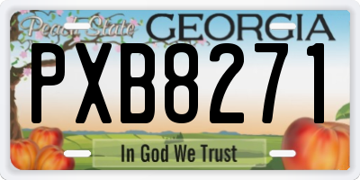GA license plate PXB8271