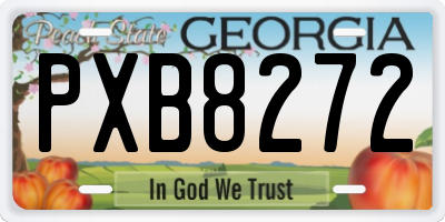 GA license plate PXB8272