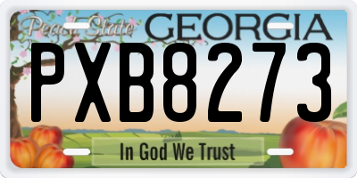 GA license plate PXB8273