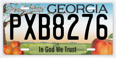 GA license plate PXB8276